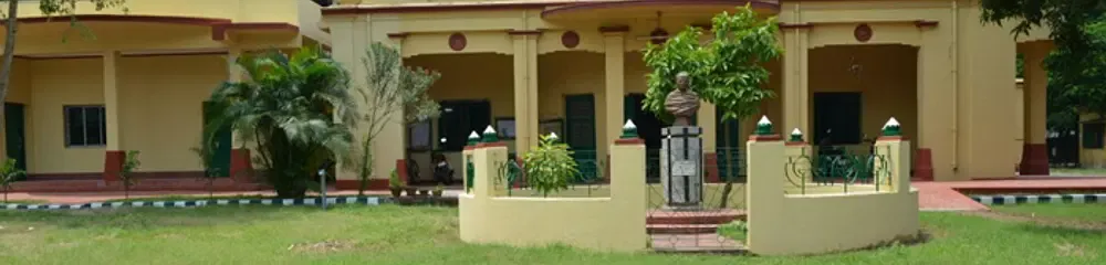 gallery 6